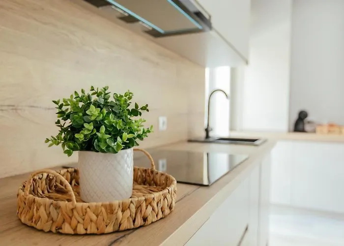 Maiava 아파트 클루지나포카